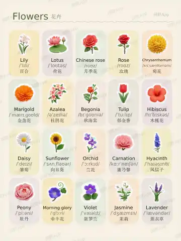 Fleurs theme card cover