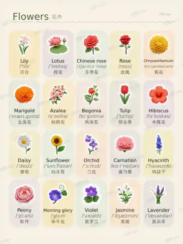 Flowers theme card cover
