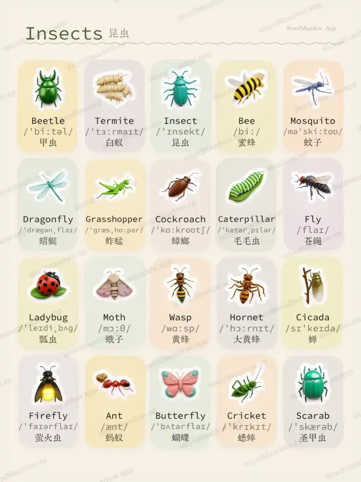 कीट Insects theme card cover