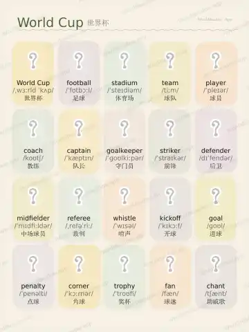 월드컵 theme card cover