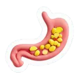 cholestérol Cholesterin