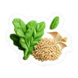 fibre alimentaire Ballaststoff