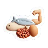protéine Protein