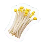 pousses de soja Sojasprossen