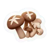 champignons Pilze