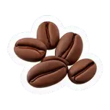 커피콩 grain de café