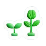 Grow wachsen