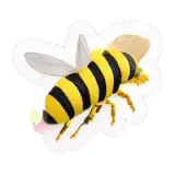Biene मधुमक्खी