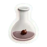 contaminant Schadstoff