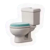 toilettes Toilette