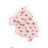 prévalence Prävalenz