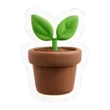 plante Pflanze