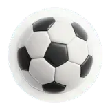 football 足球